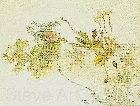 Carl Larsson blommor- nyponros och backsippor Norge oil painting art